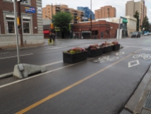 Planter protected intersection on 12 Avenue