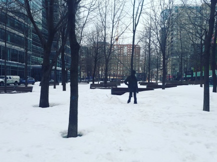 Montreal snowed in public space